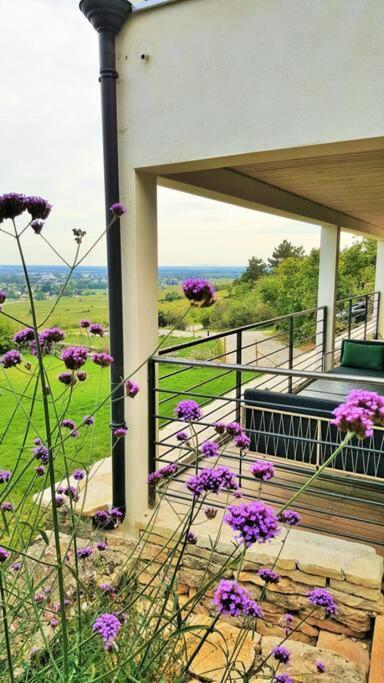 La Maison De L'Ecu : Charme Et Vue Incroyable Villa Beaune  Buitenkant foto