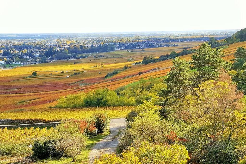 La Maison De L'Ecu : Charme Et Vue Incroyable Beaune  Buitenkant foto