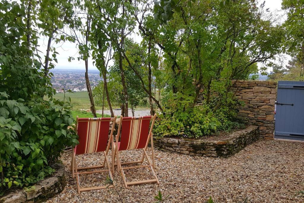 La Maison De L'Ecu : Charme Et Vue Incroyable Beaune  Buitenkant foto