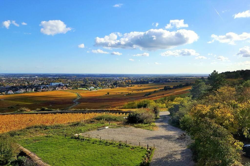 La Maison De L'Ecu : Charme Et Vue Incroyable Villa Beaune  Buitenkant foto