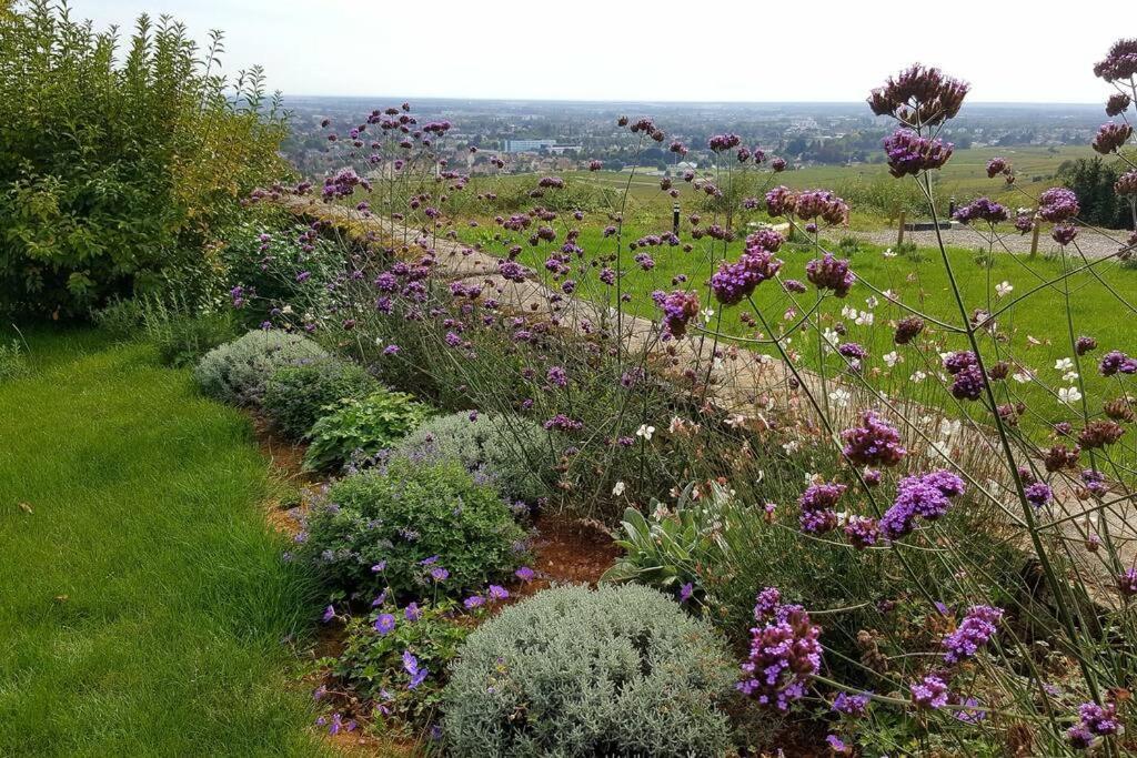 La Maison De L'Ecu : Charme Et Vue Incroyable Beaune  Buitenkant foto